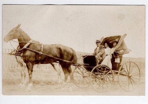 A buggy - a,